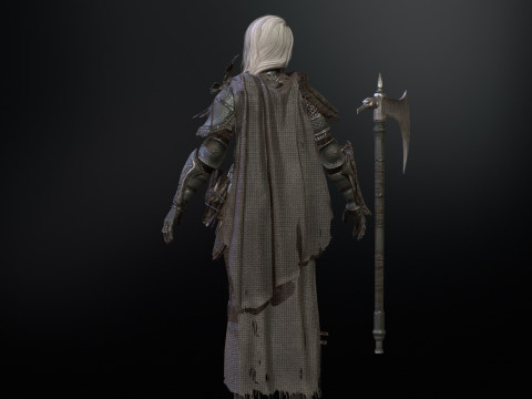 The Valkyrie 3D Model