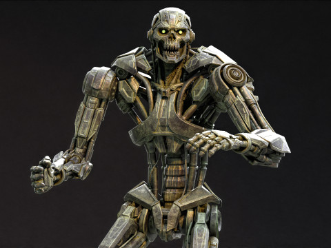 CyberKiller1 3D Model