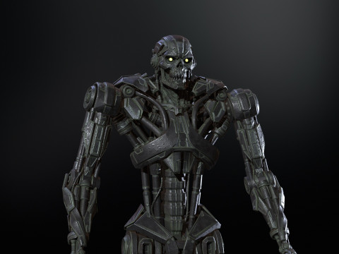 CyberKiller1 3D Model