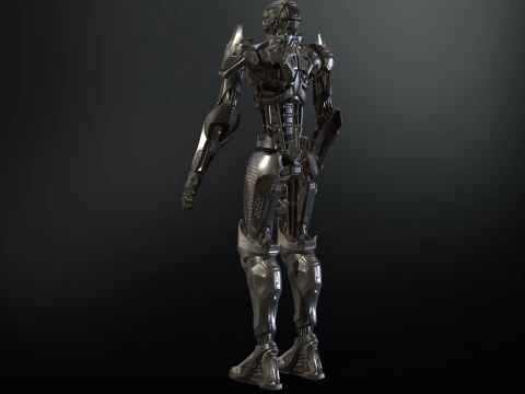 CyborgKiller2 3D Model