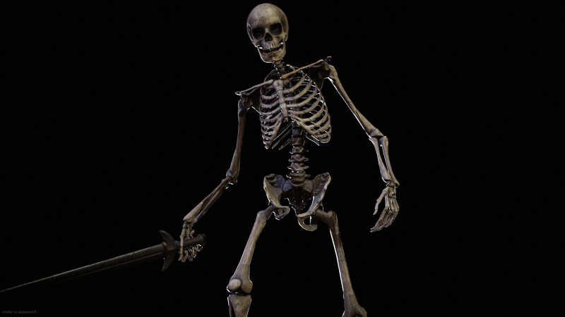 Skeleton 3D Model .c4d .max .obj .3ds .fbx .stl .blend 
