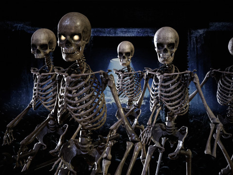 Skeleton 3D Model