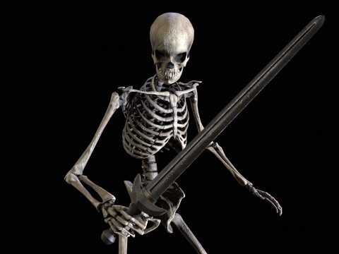 Skeleton 3D Model