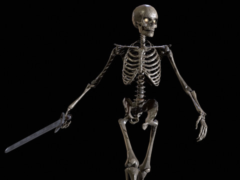 Skeleton 3D Model