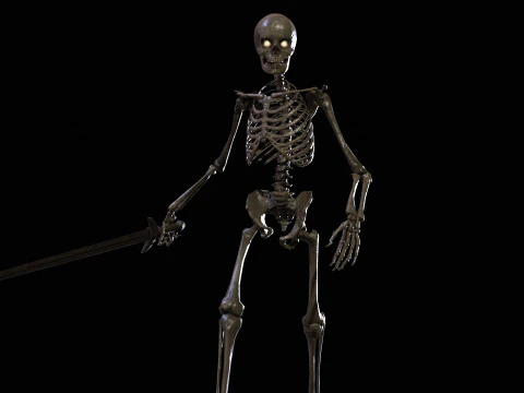 İskelet 3D Model