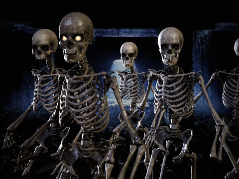 Skeleton 3D Model