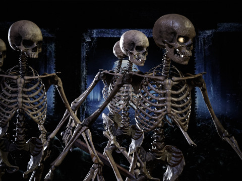 Skeleton 3D Model