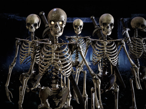 Skeleton 3D Model
