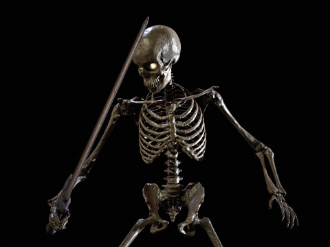 Skeleton 3D Model