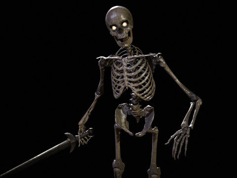 Skeleton 3D Model