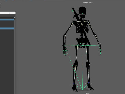 Skeleton 3D Model