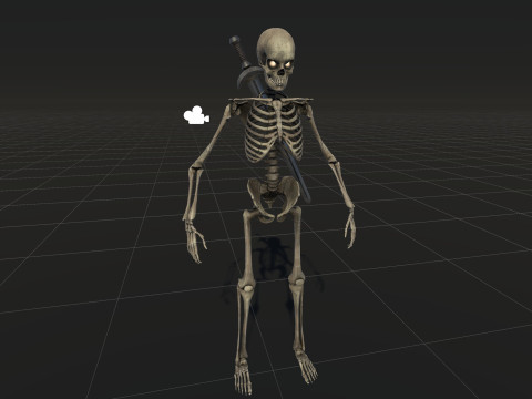 Skeleton 3D Model