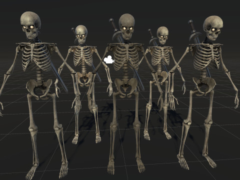Skeleton 3D Model