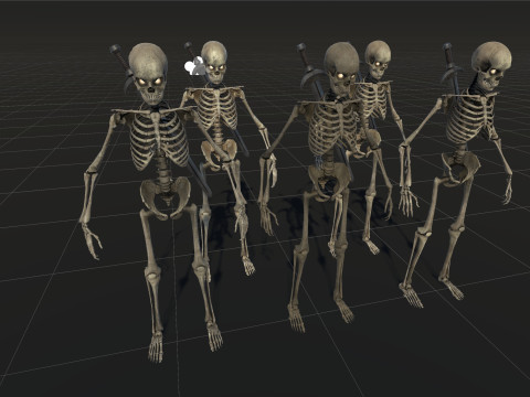 Skeleton 3D Model