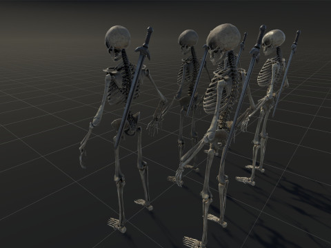 Skeleton 3D Model
