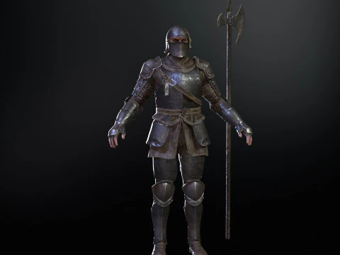 NPC Guardian1 3D Model