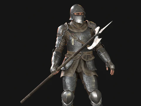 NPC Guardian1 3D Model