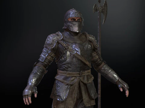 NPC Guardian1 3D Model