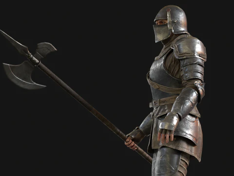 NPC Guardian1 3D Model