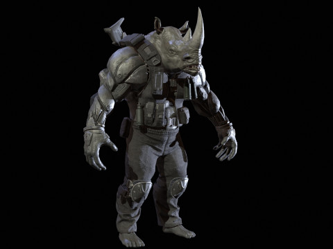 Rhino Military Modello 3D