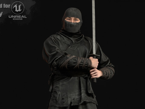 ClassicNinja 3D 模型