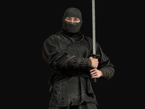 ClassicNinja Model 3D