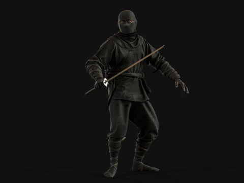 ClassicNinja 3D Model