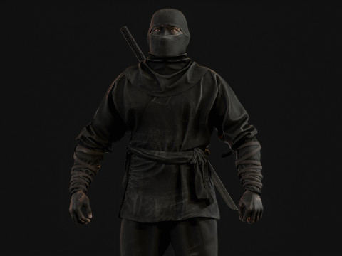 ClassicNinja Model 3D