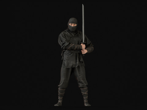 ClassicNinja Model 3D