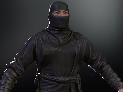 ClassicNinja Model 3D