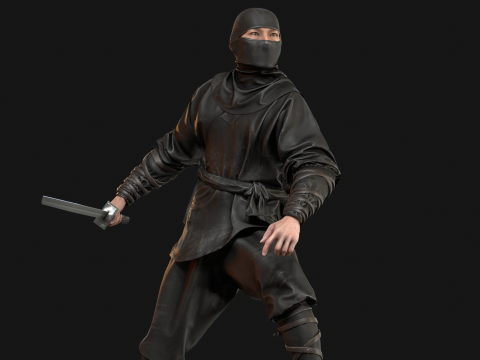 ClassicNinja Model 3D