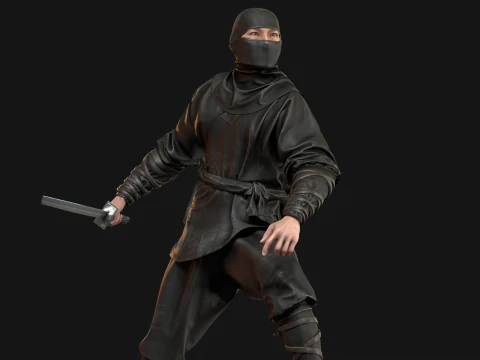 ClassicNinja 3D Model