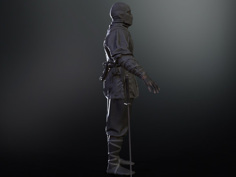 ClassicNinja Model 3D