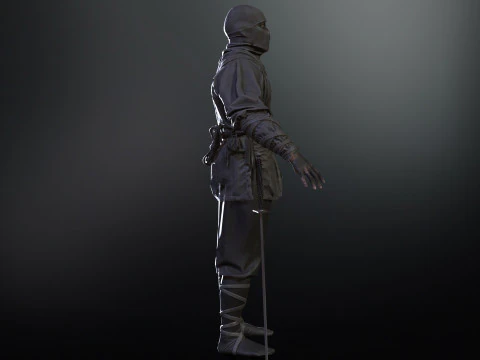 ClassicNinja 3D Model