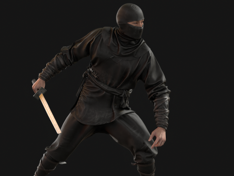ClassicNinja Model 3D