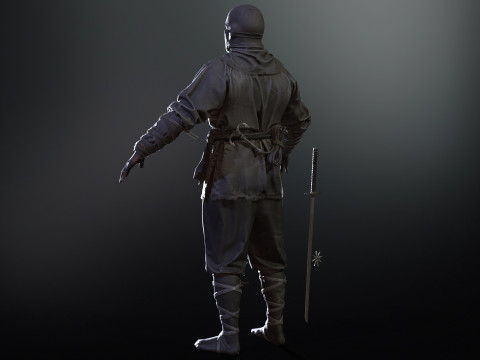 ClassicNinja Model 3D