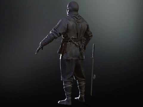 ClassicNinja 3D Model