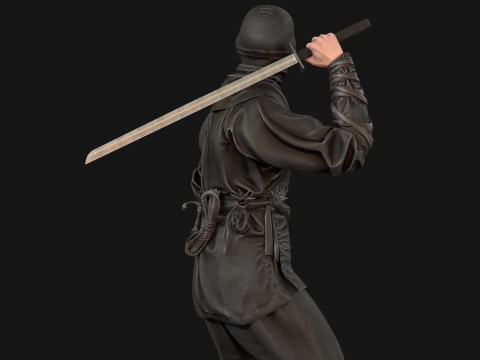 ClassicNinja Model 3D