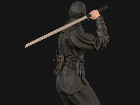 ClassicNinja 3D Model