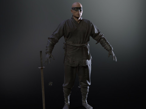 ClassicNinja Model 3D