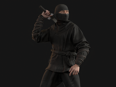 ClassicNinja Model 3D