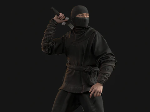 ClassicNinja 3D Model