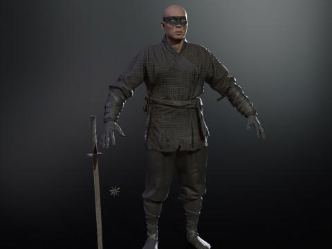 ClassicNinja Model 3D
