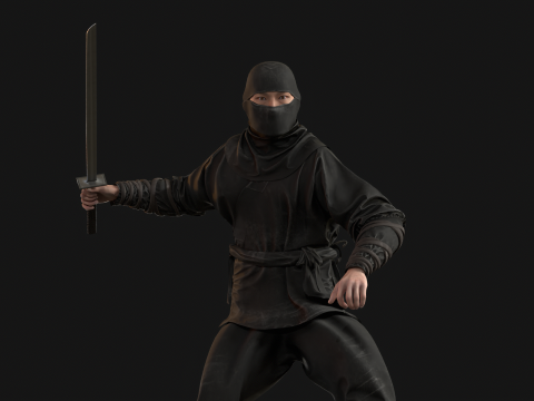 ClassicNinja Model 3D