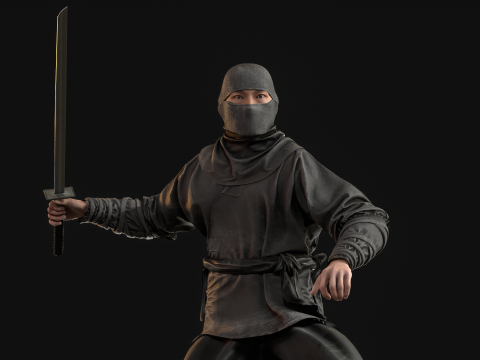 ClassicNinja Model 3D