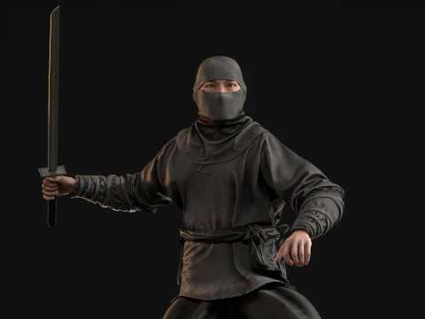ClassicNinja 3D Model