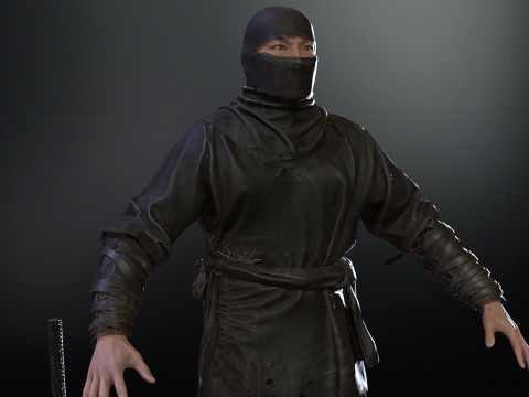 ClassicNinja Model 3D