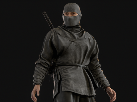 ClassicNinja Model 3D