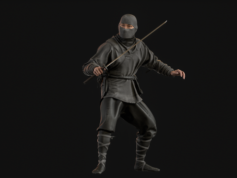ClassicNinja Model 3D