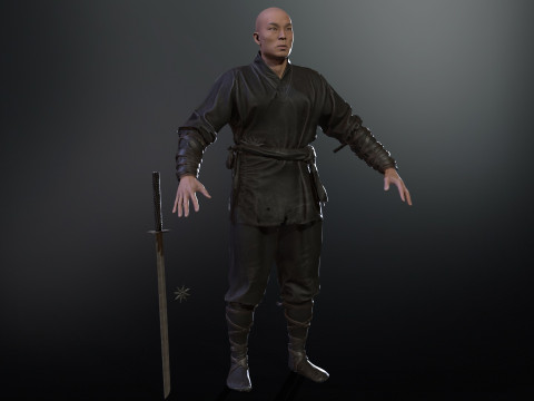 ClassicNinja Model 3D